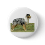 Australian Shepherd 9K7D-20 Buttons