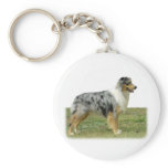 Australian Shepherd 9K7D-20 Keychains