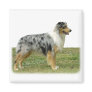 Australian Shepherd 9K7D-20 Magnets
