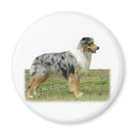 Australian Shepherd 9K7D-20 Refrigerator Magnet