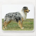 Australian Shepherd 9K7D-20 Mouse Pad