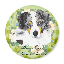 Australian Shepherd - Blue Merle Aussies Rock!! Refrigerator Magnets