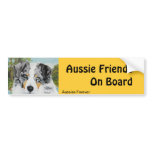Australian Shepherd Blue Merle Dog