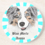 Australian Shepherd - Blue Merle Portrait Beverage Coasters
