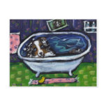 Australian Shepherd blue merle takes bath Post Cards