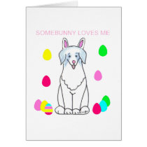 Australian Shepherd Blue Somebunny Loves Me cards