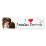 Australian Shepherd bumper sticker