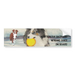Australian Shepherd Bumper Sticker