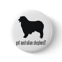 Australian Shepherd Pinback Button