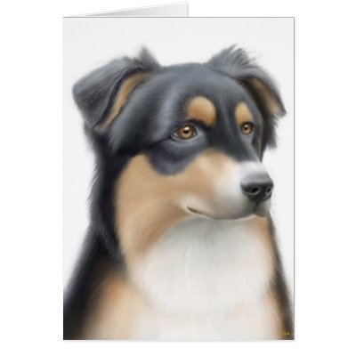 Australian Shepherd Card by twopurringcats