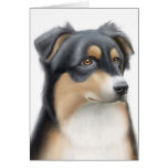 Australian Shepherd Card
