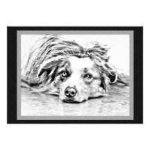 Australian Shepherd dog art Invite