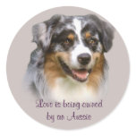 Australian Shepherd Fabulous Sticker