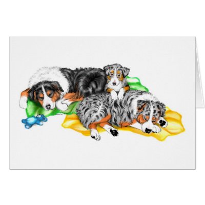 Australian Shepherd Family Nap by DanesRUs