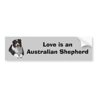 Australian Shepherd Guardian Bumper Sticker by normagolden