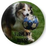 Australian Shepherd has a Ball! Pinback Button