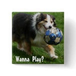 Australian Shepherd has a Ball! buttons