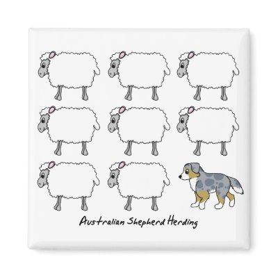 Australian Shepherd Herding Sheep Magnet by MenagerieMayhem