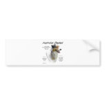 Australian Shepherd History Design bumper stickers
