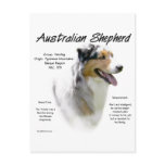 Australian Shepherd History Design Post Cards