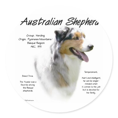 Australian Shepherd History Design by GreyWolfCreation