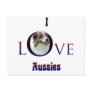 Australian Shepherd I Love Post Cards