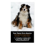 Australian Shepherd in Snow Breeder Business Cards