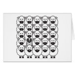 Australian Shepherd in the Sheep Cards
