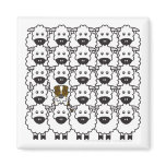Australian Shepherd in the Sheep Magnet