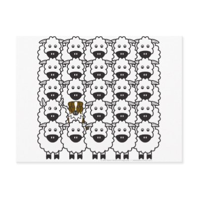 Australian Shepherd in the Sheep Post Card by khocker