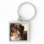 Australian Shepherd Keychain