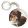 Australian Shepherd keychain