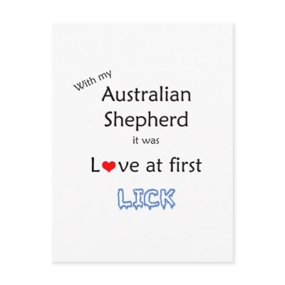 Australian Shepherd Lick Design Postcards by GreyWolfCreation