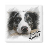 Australian Shepherd Magnet