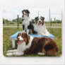 Australian Shepherd Mousepad