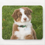 Australian Shepherd Mousepad