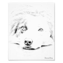 AUSTRALIAN SHEPHERD PHOTO ART