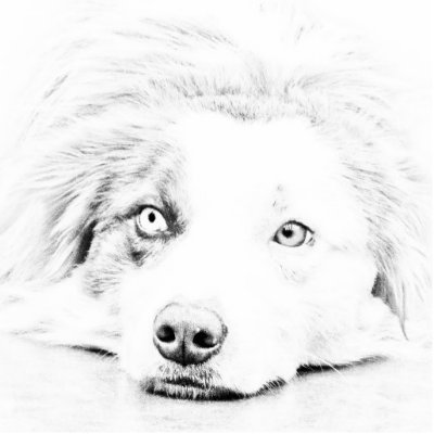AUSTRALIAN SHEPHERD PHOTO SCULPTURES by Dog_Lovers