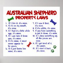 AUSTRALIAN SHEPHERD PL2