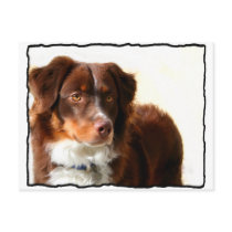 Australian Shepherd postcard