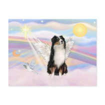 Australian Shepherd Post Card