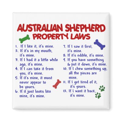 AUSTRALIAN SHEPHERD Property Laws 2 by poochloverstuff