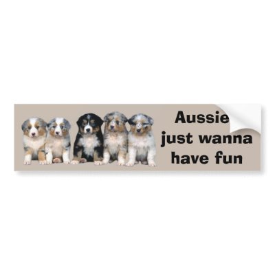 Australian Shepherd Puppies Bumper Sticker by normagolden