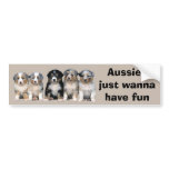 Australian Shepherd Puppies Bumper Sticker bumper stickers