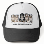 Australian Shepherd Puppies Hat