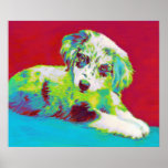 australian shepherd puppy-red print