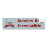 Australian Shepherd Pups In Wagon Bumper Sticker