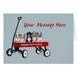 Australian Shepherd Pups In Wagon Greeting Card