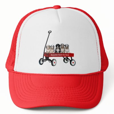 Australian Shepherd Pups In Wagon Hat by normagolden