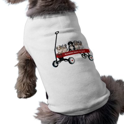 Australian Shepherd Pups In Wagon Pet Clothing by normagolden